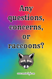 The text "Any questions, concerns, or raccoons?" in a fancy font is on a rainbow watercolour style background, with an illustration of raccoon face underneath it, and the URL www.omniartsgb.com underneath that.