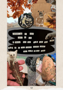A bigger version of the art described on the previous page. More details of the art: the poem is on a background of three black ovals joined together with a thick grey border around them. Description from previous page: Image shows a collage featuring a poem I wrote and diary photos from my autumn so far; a sweet potato, the corner of my eye with red glittery eyeshadow and sunflower petals stuck around it, a crochet rat a new friend made, a park, a bucket of pruned lavender stems, the reverse of a cardboard house model, a bedraggled cat, autumn leaves, part of a stained glass window depicting a medieval forest man, the ground, my flannel sleeve. Parts of the collage are fuzzy and not in good resolution, this depicts the mindstate of the artist/poet very well. The poem is made with fridge magnet words and reads: “autumn-ing is found green to red a dancing bird host see-s earth friend glitter fly-s on in lazy wander’d beautiful memory these tree-s our jewel garden”